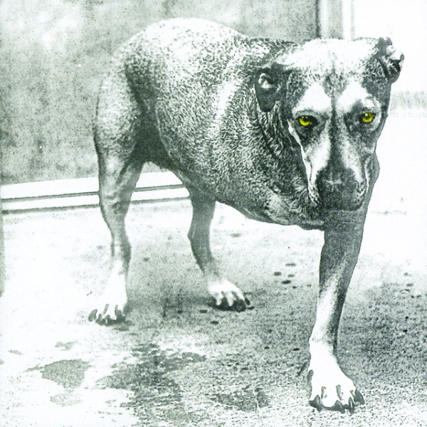 Alice In Chains - Alice In Chains (30th Anniversary)