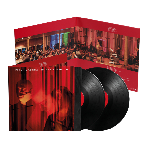 Peter Gabriel - In The Big Room