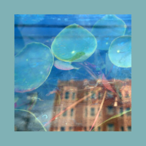 Reds, Pinks & Purples, The - Acknowledge Kindness