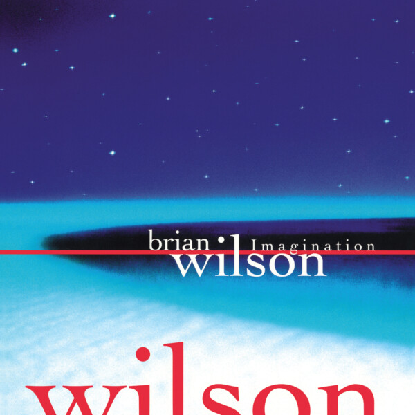 Brian Wilson - Imagination (RSD26)
