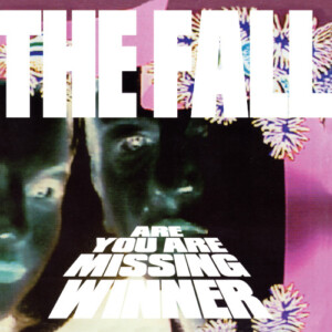 Fall, The - Are You Are Missing Winner (RSD26)