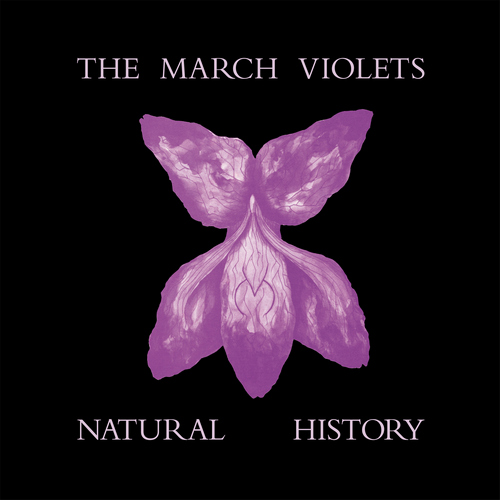 March Violets, The - Natural History (RSD26)