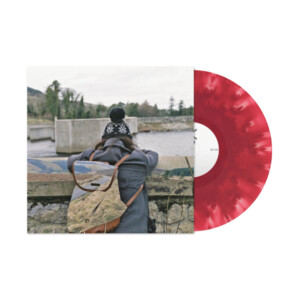 Basement - I Wish I Could Stay Here