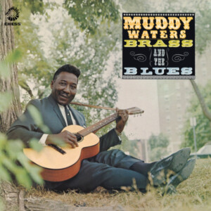 Muddy Waters - Muddy, Brass And The Blues