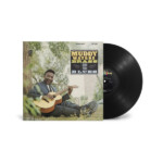 Muddy Waters - Muddy, Brass And The Blues