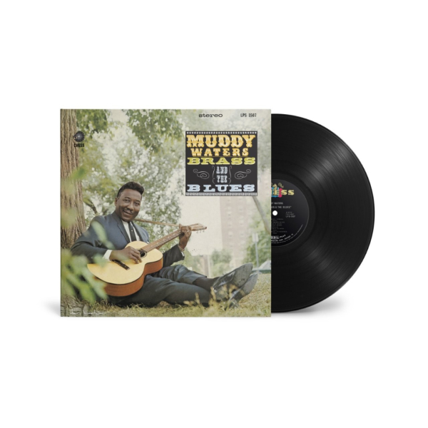 Muddy Waters - Muddy, Brass And The Blues