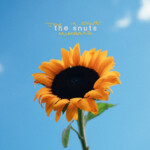 Snuts, The - Joy In Short Moments