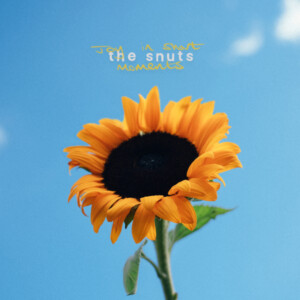 Snuts, The - Joy In Short Moments