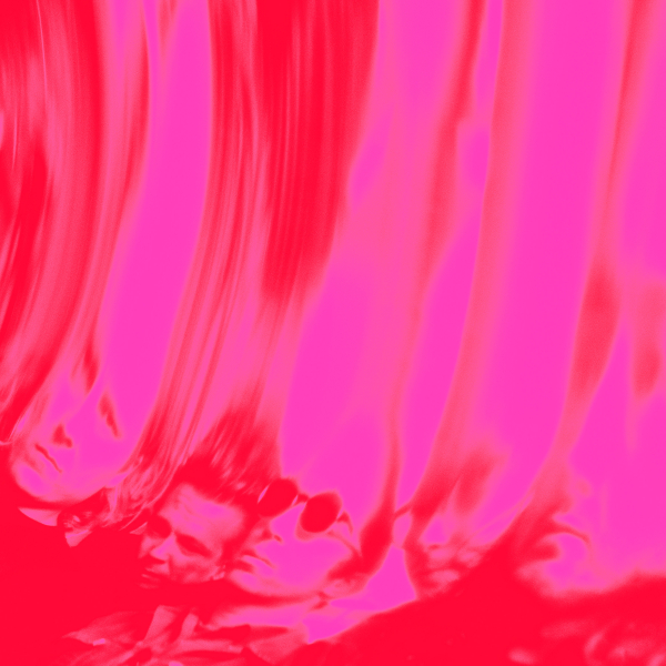 Ty Segall - Love Fuzz