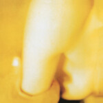 Smashing Pumpkins, The - Pisces Iscariot
