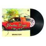 Brainstory - Shoebox Days