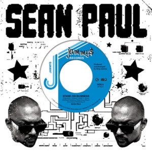 Sean Paul - Stand On Business