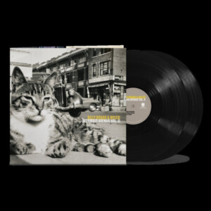 Billy Bragg & Wilco - Mermaid Avenue Vol. II