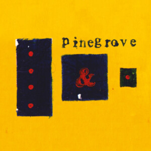 Pinegrove - Everything So Far (11th Anniversary Edition)